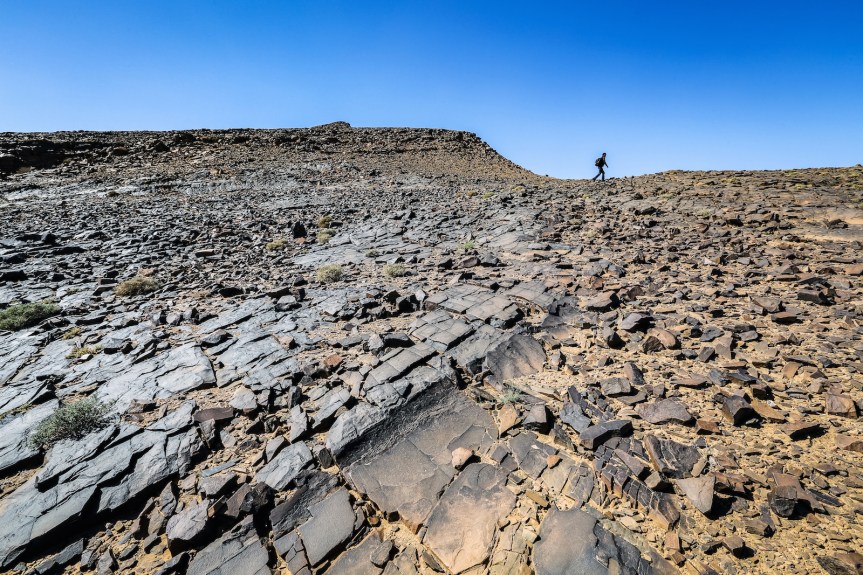 exposition DARCY-001 copie